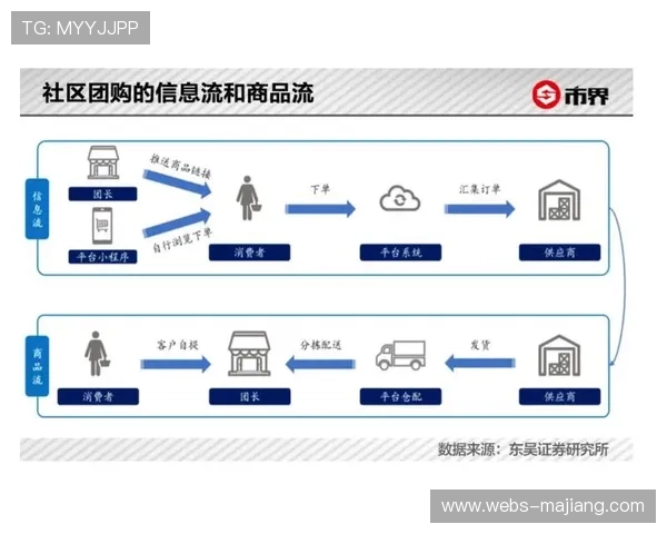 区域化内容策略深化，满足本地化解说与数据需求